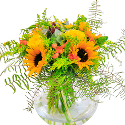 Upon first glance, this bouquet glows with a sense of joy and natural abundance that recalls sunlit fields bordering Broxbourne Woods on a late summer day. Sunflowers, large and robust, form the heart of the arrangement with their deep brown centres framed by ruffled yellow and orange petals that seem to radiate warmth throughout the display. Around them, buttery yellow garden roses gently unfurl in sculpted spirals, revealing layer upon layer of satiny petals that add texture and classical beauty. Among these showstoppers, clusters of vibrant red Hypericum berries gleam between the foliage, their glossy brightness a playful foil to the lush, matte greens. Wispy fern fronds and trails of delicate filler greens, suggestive of solidago's tiny yellow tufts, spill lightly over the vase's rim, infusing the design with a sense of movement and life-much like a gentle wind through the trees lining the Lea Valley. Eucalyptus sprigs with a silvery tint peek through, adding dimension and a faintly herbal fragrance. The bowl-shaped glass vase, crystal clear, exposes the fresh green stems as they fan into water, grounding the exuberance above in pure transparency. This bouquet is perfect for marking joyful milestones or decorating living spaces across Broxbourne-whether celebrating at a home overlooking Spital Brook or sending cheer to a friend down Nazeing Road.